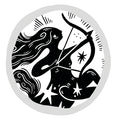 Sagittarius Zodiac Coin Pendant Necklace