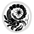 Scorpio Zodiac Coin Pendant Necklace
