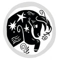 Taurus Zodiac Coin Pendant Necklace