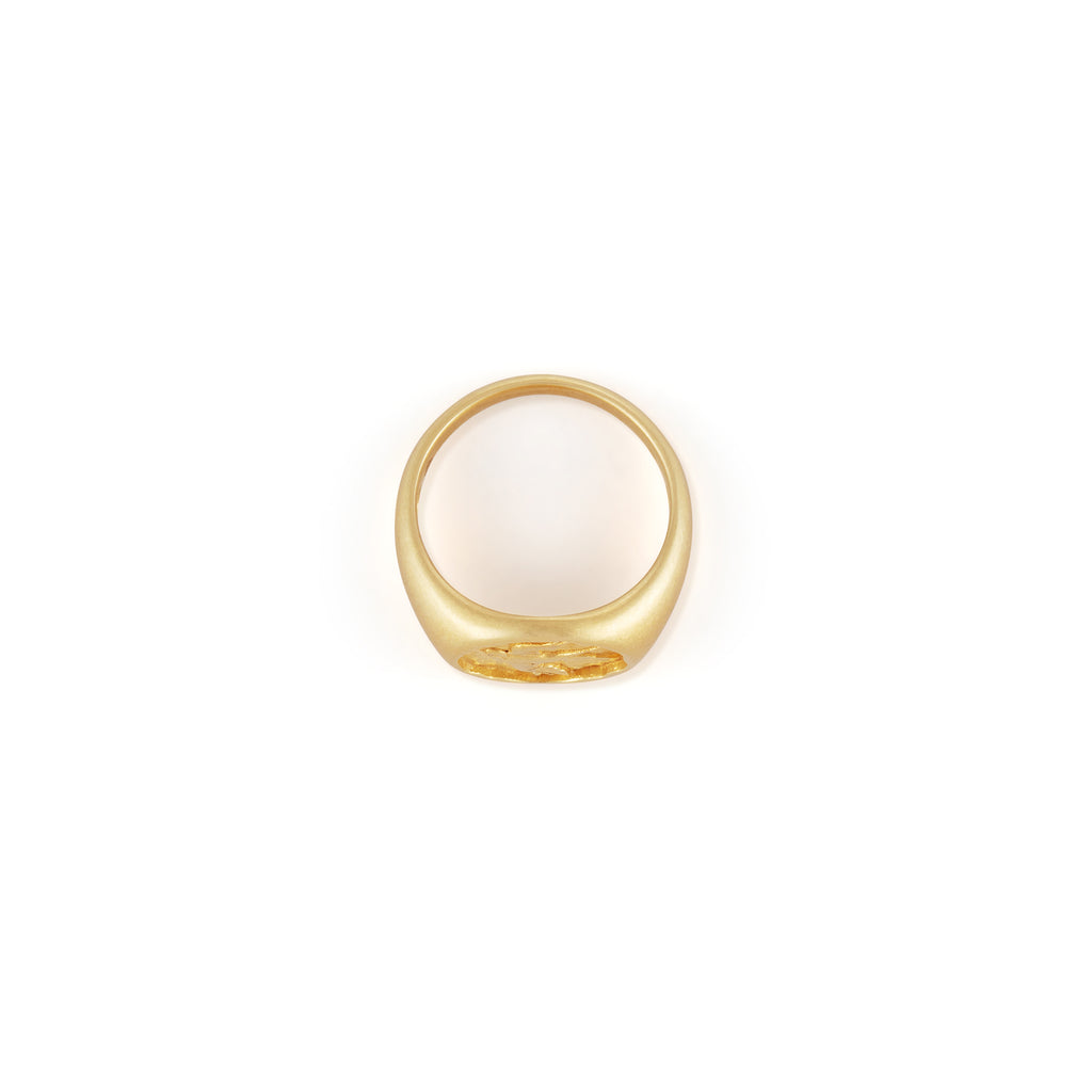 The Voyager Swallow Signet Ring