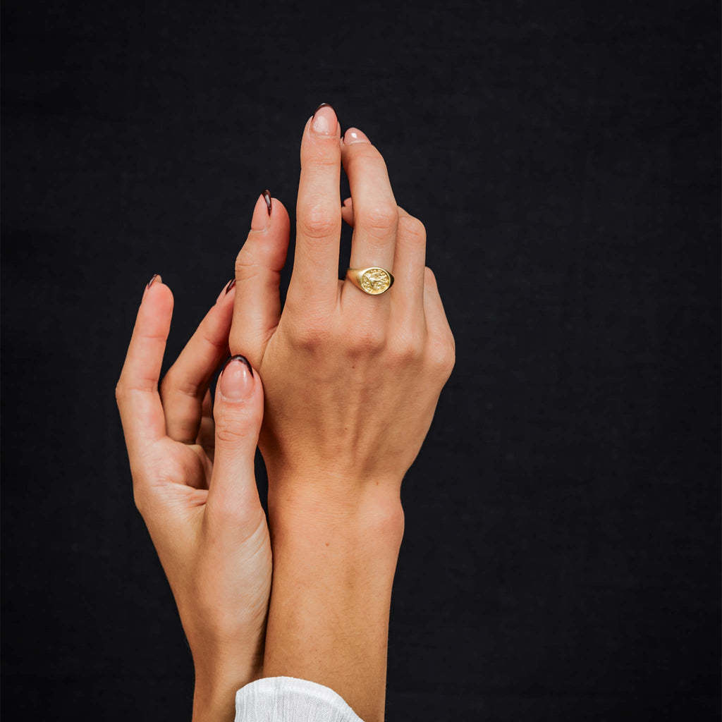 The Voyager Swallow Signet Ring