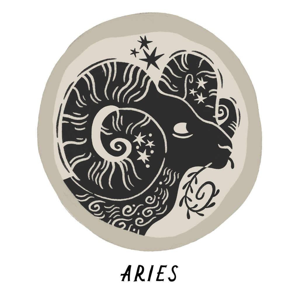 Aries Zodiac Coin Pendant Necklace