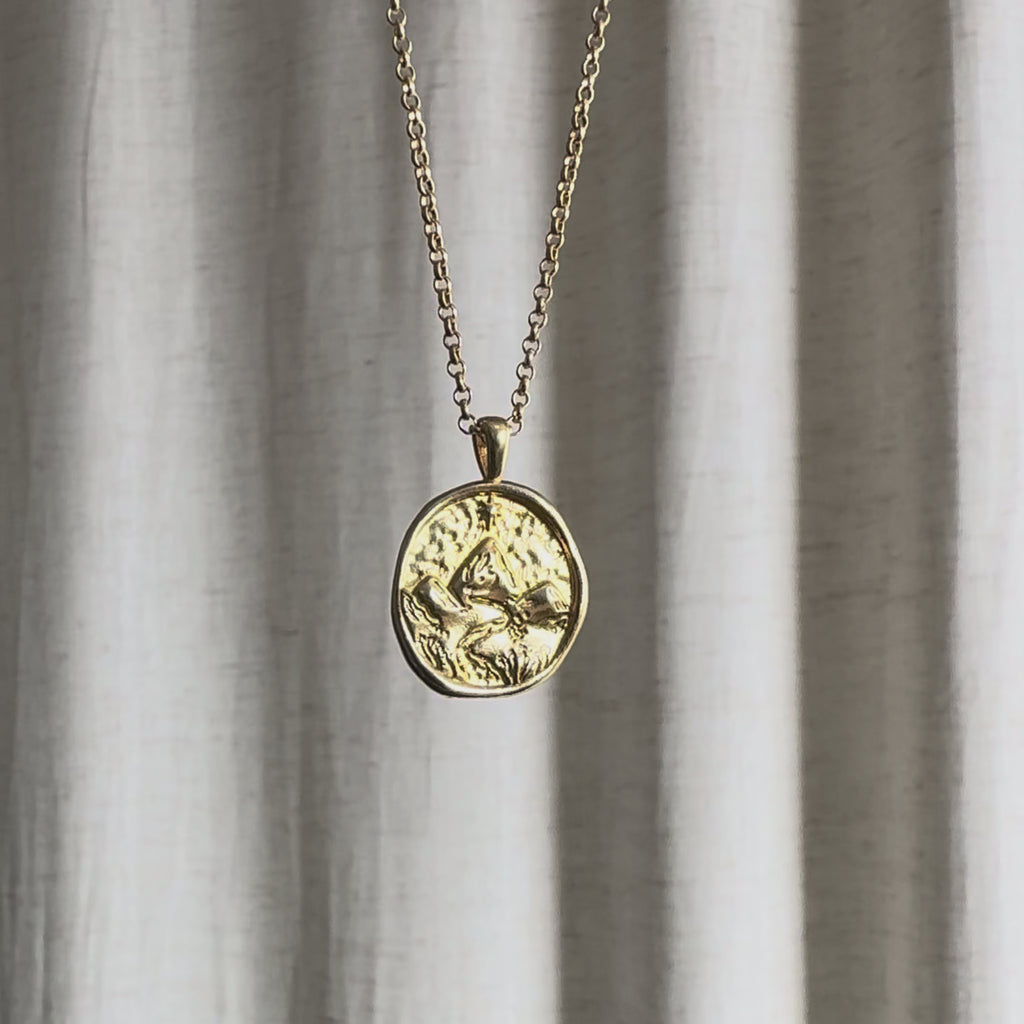 Video of Capricorn Zodiac Pendant Necklace moving in the sun against a natural fabric background.