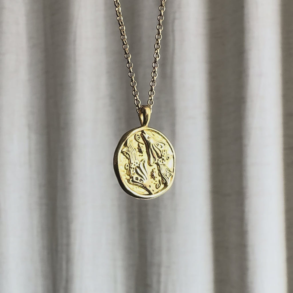 Video of Pisces Zodiac Pendant Necklace moving in the sun against a natural fabric background.